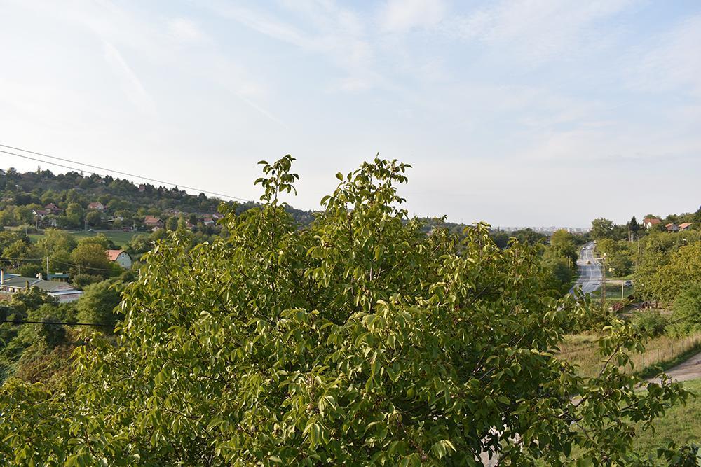 Fruskogorska Terasa Daire Novi Sad Dış mekan fotoğraf